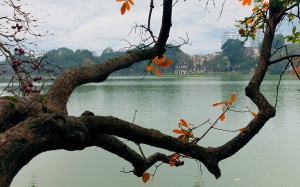 Bắc Bộ và Trung Bộ mưa lạnh