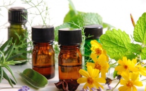 GS 'biết tuốt' Nguyễn Lân Dũng: Có thể dùng hương liệu để chữa bệnh (kỳ 1)