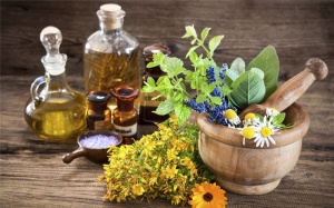 GS 'biết tuốt' Nguyễn Lân Dũng: Có thể dùng hương liệu để chữa bệnh (kỳ 2)