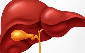 Vai trò của muối mật trong cơ thể là gì?