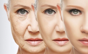 Ăn gì để không lo bị lão hóa da?