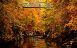 Mê mẩn cảnh sắc mùa Thu quyến rũ ở khắp nơi trên thế giới