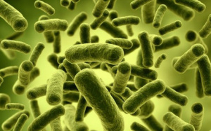 Cân bằng hệ vi khuẩn giúp phòng ngừa nhiễm khuẩn âm đạo