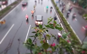 Không khí lạnh tăng cường, Bắc Bộ mưa lạnh trở lại