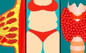 9 yếu tố có thể ảnh hưởng đến hoạt động của tuyến giáp