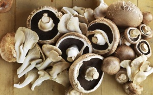 Ăn nấm tốt cho làn da của bạn như thế nào?