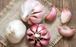 Ăn tỏi khi bụng đói có tác dụng tuyệt vời, nhưng ít người biết