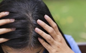 Tóc bạc sớm? Hãy dùng long não!