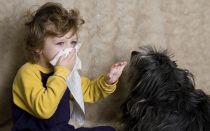 7 cách giúp giảm dị ứng với thú cưng