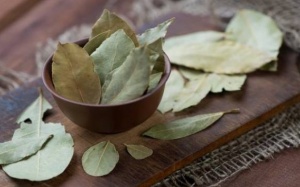 Lá nguyệt quế có lợi cho bệnh nhân đái tháo đường thế nào?