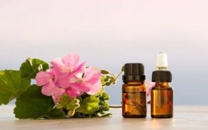 Những lợi ích của tinh dầu hoa phong lữ với sức khỏe và sắc đẹp