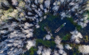 Tác phẩm Rừng Tràm Đồng Tháp đoạt giải thưởng ảnh quốc tế Siena 2018