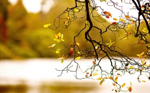 Không khí lạnh tăng cường liên tục, Bắc Bộ ngày nắng hanh, đêm lạnh giá