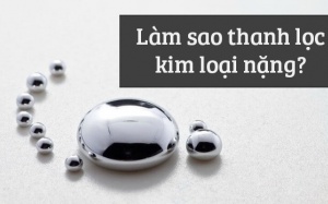 Làm sao để bảo vệ cơ thể khỏi các kim loại nặng?