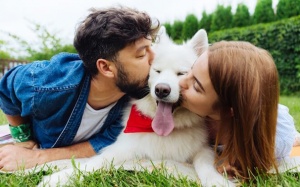 Tử vi thứ Tư (7/11/2018): Nhân Mã đang thấy rất vui vẻ, nhiệt huyết!