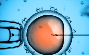 Những điều buộc phải biết khi chuẩn bị thụ tinh trong ống nghiệm - IVF