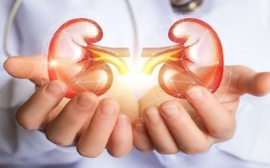 Những thực phẩm người mắc bệnh thận nên ăn thường xuyên