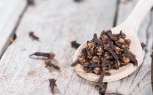 Đinh hương giúp kiểm soát lượng đường trong máu