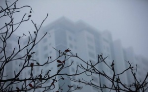 Bắc Bộ nhiều mây, thời tiết se lạnh