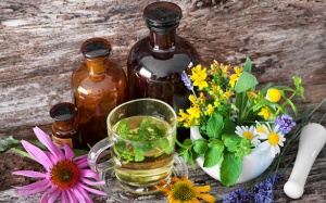 Những thảo dược giúp đối phó với các bệnh thường gặp mùa Đông