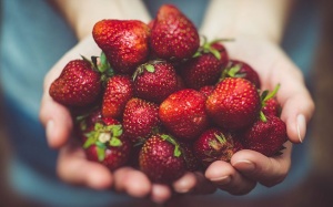 Những lợi ích của dâu tây sẽ khiến bạn ngạc nhiên