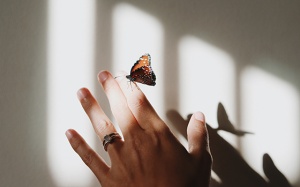 Tử vi thứ Năm (22/11/2018): Bảo Bình là một người khá mơ mộng, bay bổng