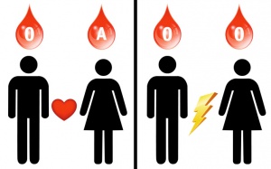 6 thông tin bạn cần biết về nhóm máu O