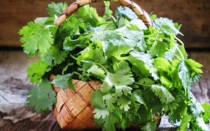 Đào thải kim loại nặng ra khỏi cơ thể bằng chế độ ăn