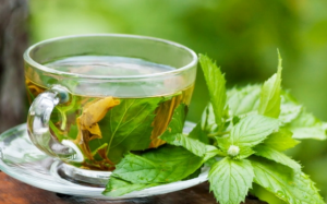 Uống trà thải độc có thực sự hiệu quả? 