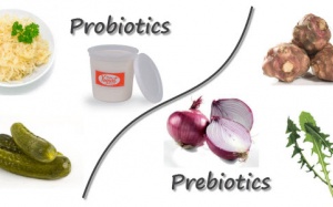 Probiotics và Prebiotics có vai trò gì với sức khỏe?