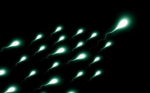 Tăng số lượng tinh trùng một cách tự nhiên  