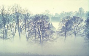 Bắc Bộ nhiều sương mù, thời tiết se lạnh về đêm và sáng