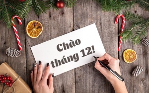 Tử vi tháng 12/2018: 12 cung hoàng đạo đã sẵn sàng đón tháng cuối năm?