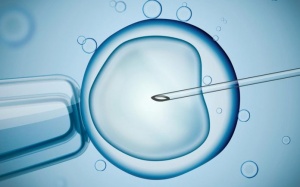 10 mẹo giúp thành công khi thụ tinh trong ống nghiệm IVF