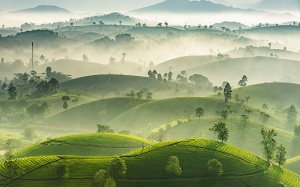 Việt Nam lọt Top ảnh ấn tượng dự thi Sony World Photography Awards 2019