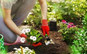 Làm sao để giảm nguy cơ nhiễm trùng huyết?