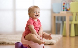 Những cách thú vị dạy trẻ ngồi bô, bỏ bỉm