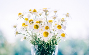 Tử vi thứ Sáu (7/12/2018): Bảo Bình sẽ có một ngày vui vẻ, hạnh phúc