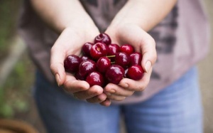 7 lợi ích sức khỏe của quả anh đào mà bạn chưa biết