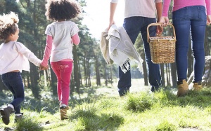 Vì sao bạn nên đi dã ngoại thường xuyên hơn?