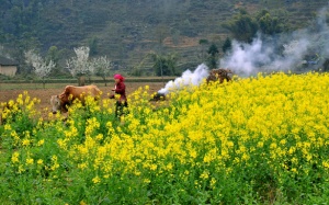 Không khí lạnh suy yếu, Bắc Bộ bớt rét