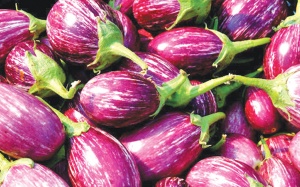 Đây là lý do vì sao bạn nên ăn cà tím thường xuyên hơn!