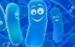 Tại sao khi uống thuốc kháng sinh, nên bổ sung men vi sinh?