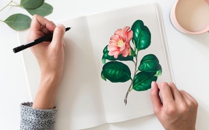 Tử vi thứ Năm (20/12/2018): Bảo Bình thỏa sức thể hiện sự sáng tạo của mình