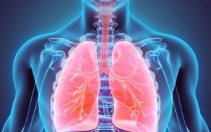 Tại sao có thể chết vì bệnh viêm phổi? 