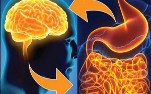 Bổ sung probiotic có thể giúp giảm chứng rối loạn lưỡng cực