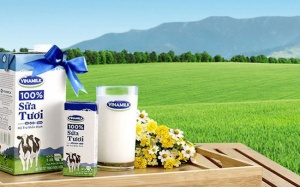 Không chỉ chia 20% cổ phiếu thưởng, Vinamilk còn tạm ứng 20% cổ tức bằng tiền