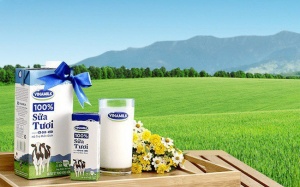 Lãi ròng 6 tháng đầu năm của Vinamilk giảm 8%, vẫn có trên 10.000 tỷ đồng tiền gửi ngân hàng