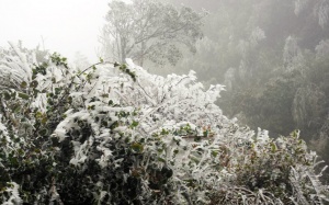 Bắc Bộ sắp rét đậm, vùng núi có khả năng mưa tuyết