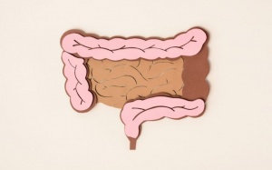 7 thực phẩm giúp làm sạch ruột già